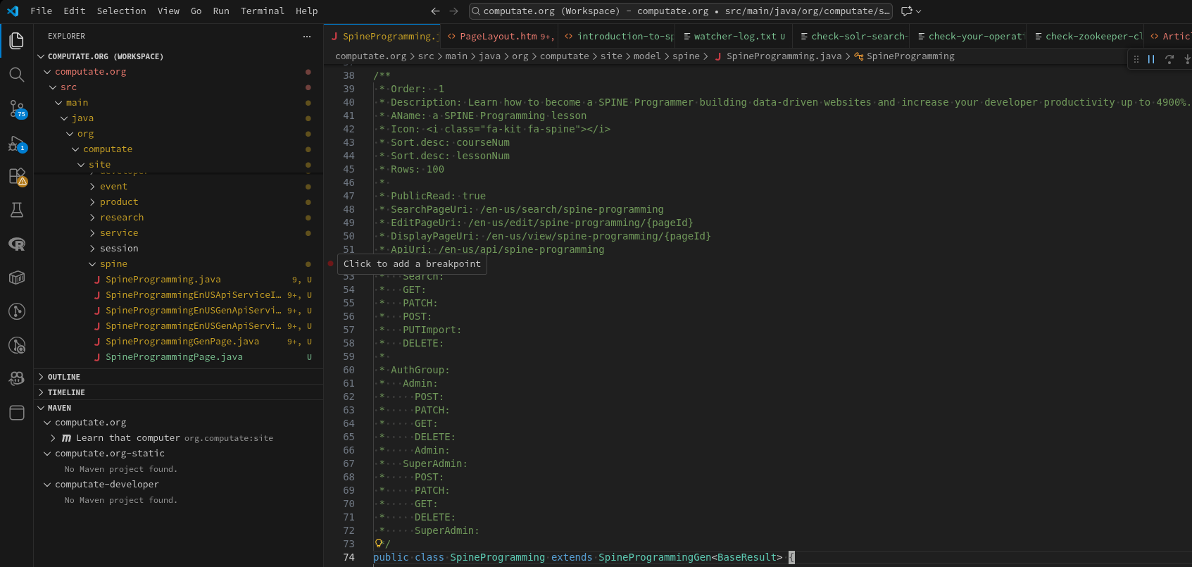 SPINE Programming lesson model Java Class