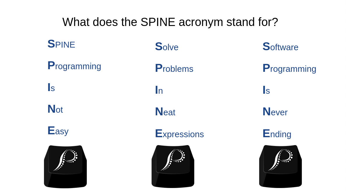 SPINE Programming Theory slides at NEDSI 2026